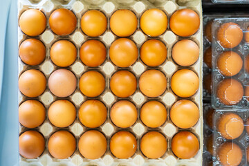 A tray of eggs is shown in a close up
