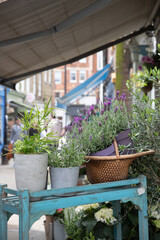 The Flask Walk in London