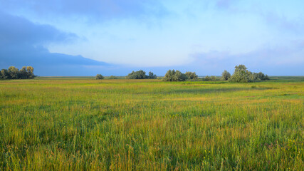Fototapeta premium Lake Neusiedl Seewinkel National Park on a sunny morning