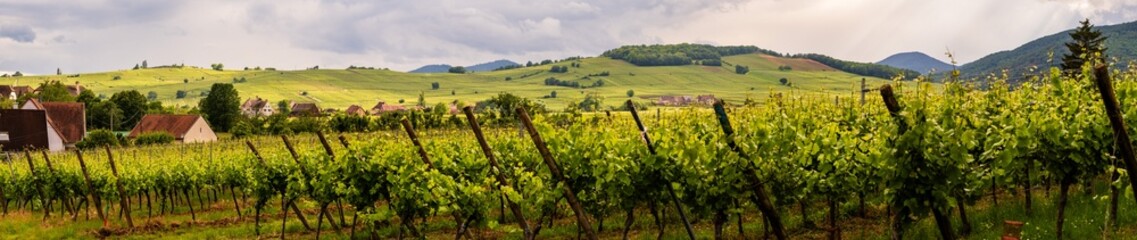 Le Mont de Sigolsheim vu depuis le vignoble de Beblenheim, CeA, Alsace, Grand Est, France