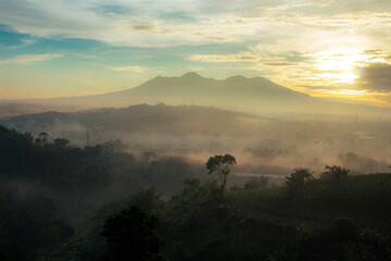 a beautiful view of nature in the morning. 