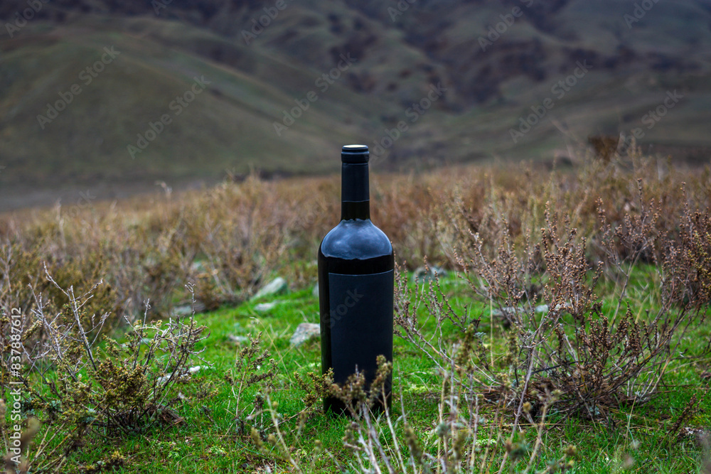 Poster Bottle of wine in the mountains