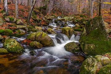 autumn scene in forest with running water, jizerske hory