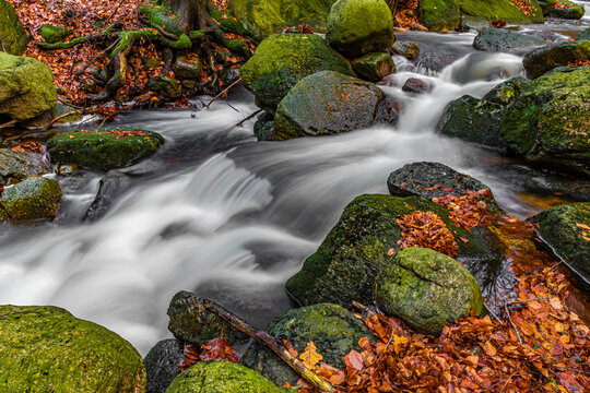 autumn scene in forest with running water, jizerske hory