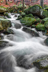 fresh forest creek on autumn in Jizera mountains