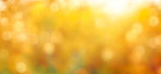 Obraz premium Blurred yellow Autumn Background. Bright Bokeh Lights. Golden Warm Seasonal Vibes, Peaceful Outdoor Atmosphere. Autumn season bokeh background.