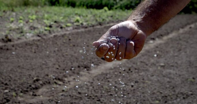 Super slow motion macro of male farmer adds natural bio fertilizers granules for field ground soil being work by agricola machinery before plant in ecological rural farmland agricultural plantation.