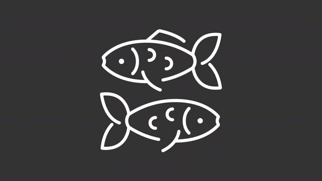 Animated pisces white icon. Twin fishes line animation. Astrological sign. Pisces symbol. Horoscope prediction. Isolated illustration on dark background. Transition alpha video. Motion graphic
