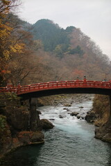 bridge over the river