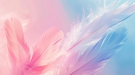 Soft pastel feathers in delicate shades of pink and blue, creating a dreamy and ethereal texture.