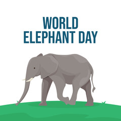Fototapeta premium vector graphic of World Elephant Day ideal for World Elephant Day celebration.