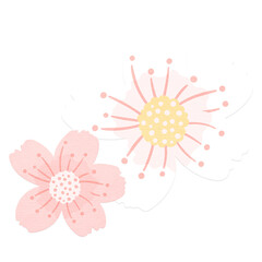 Png cherry blossom spring flowers