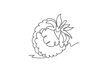 Single continuous line drawing whole healthy organic raspberry for orchard logo identity. Fresh berry fruitage concept for fruit garden icon. Dynamic one line draw graphic design vector illustration