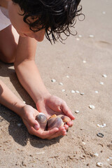 boy collecting shells on the beach in summer