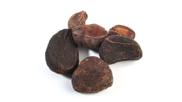 Whole Dry Cola Nuts - Kola Nut Rotating, Falling Pieces
