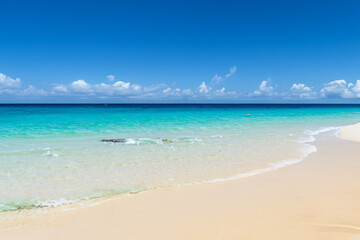 Fototapeta premium beach with sand and sea