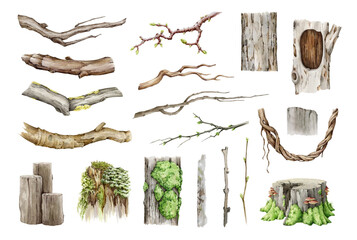 Natural wood elements painted set. Watercolor illustration. Hand drawn branch, twig, hollow timber, vine, stump natural element collection. Tree parts on white background © anitapol