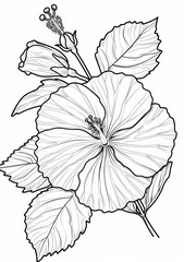 Fototapeta premium This image shows a simple line drawing coloring page of a hibiscus flower. The image is designed to be easy for children to color. The flower is depicted in full bloom with detailed leaves and a bud.