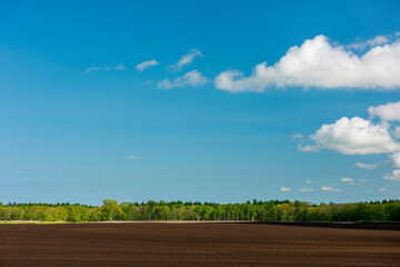 北海道の広い農地と広い空