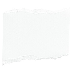 Obraz premium Ripped paper scrap png texture, transparent background