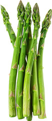 Obraz premium asparagus sticker transparent background PNG clipart