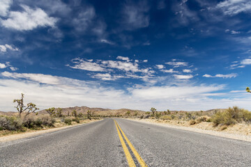 Joshua Tree National Park