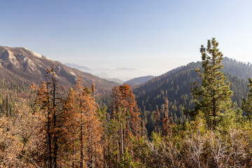 Mountain landscape in Yosemite National Park