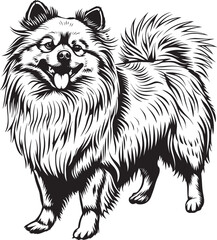 Keeshond dog clipart, Keeshond black vector