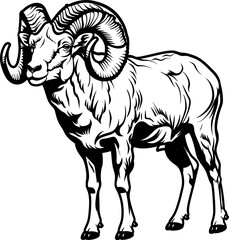Bighorn sheep silhouette icon in black color. Vector template design.
