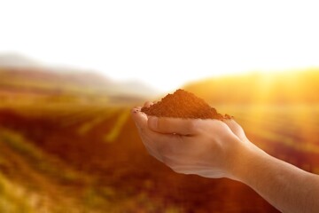 Young farmer's hands hold dry soil at field