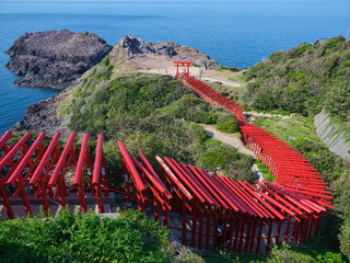 山口県　元乃隅稲成神社　鳥居と海