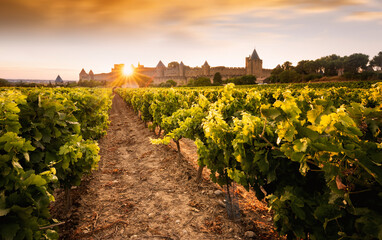 coucher de soleil sur la cité de Carcassonne