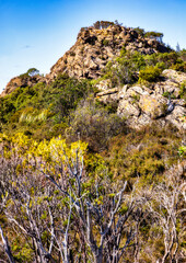 From the trail to Lake Osborne, Hartz Mountain National Park, Tasmania, Australia