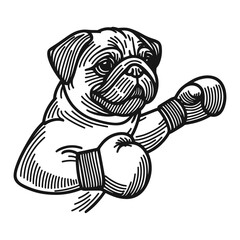 cute pug boxer, dog in boxing gloves funny sketch