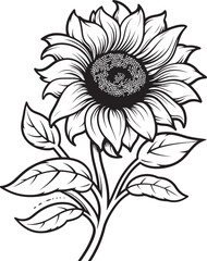 Sunflower Symphony Vector Icon Design Radiant Sunflowers Bouquet Logo Art
