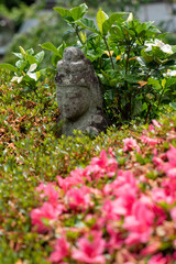 鎌倉246　海蔵寺10　ツツジ