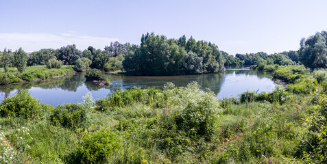 View to land, river, trees and empty blue sky