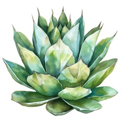 Fototapeta premium Watercolor Agave Plant in Vibrant Blue and Green Tones on White Background