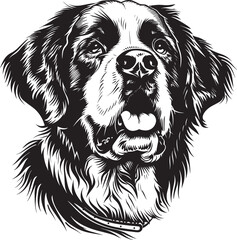 St. Bernard dog clipart, St. Bernard black vector