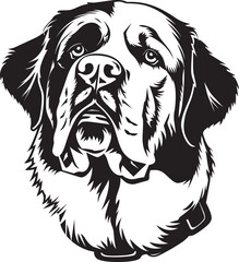 St. Bernard dog clipart, St. Bernard black vector