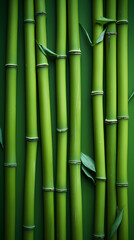 Fototapeta premium Slender upright bamboo pole