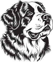 St. Bernard dog clipart, St. Bernard black vector