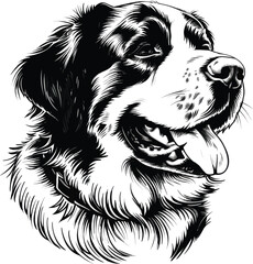 St. Bernard dog clipart, St. Bernard black vector