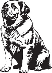 St. Bernard dog clipart, St. Bernard black vector