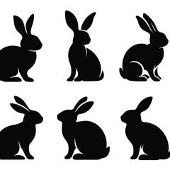 Rabbit Line Art Drawing   vector illustration design