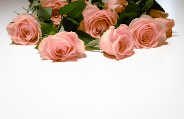 roses on table, rose for gift card, 