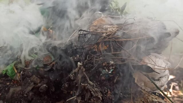 burning tree waste in the yard