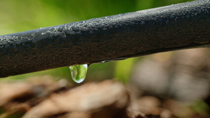 Water droplet on a drip irrigation hose.