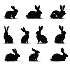 Rabbit Line Art Drawing   vector illustration design