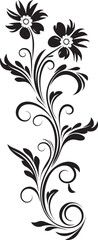 Retro Floral Swirl Design Decorative Floral Frame Ornamental Floral Divider Line Emblem